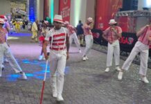 Confira a análise dos minidesfiles das escolas do Grupo de Acesso I de São Paulo