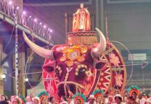 Excelência em cada quesito: minidesfile impecável da Unidos de Padre Miguel