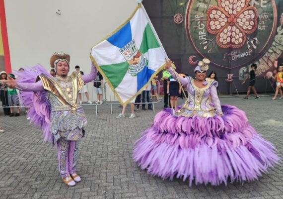Confira a análise dos minidesfiles das escolas do Grupo de Acesso I de São Paulo 2 vilamaria minidesfile26 1