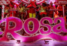 Salgueiro leva violino ao carro de som para recriar universo de Rosa Magalhães