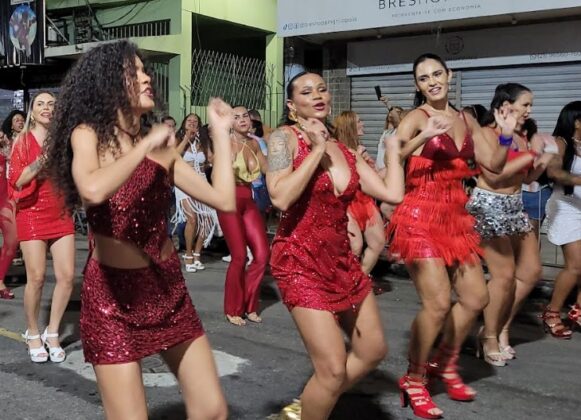 viradouro mirandela 6