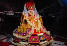 No aniversário de Rosa Magalhães, Salgueiro divulga fantasia para o Carnaval 2026