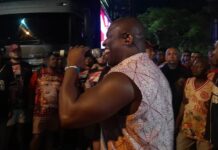 Sacode do Salgueiro no último ensaio de rua em busca da décima estrela