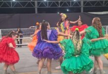 Quando o samba tempera a avenida: Vila Maria transforma o Anhembi em um banquete cultural