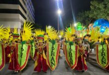 Iphan na Avenida: Botafogo Samba Clube transforma patrimônio em espetáculo na Sapucaí