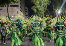 Componente fala! Desfilantes da Botafogo defendem o verde como direito à cidade no desfile sobre Burle Marx