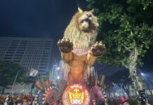 Da Estácio à Niterói: O rugido que ecoa