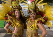 Ala “A Fera que o Invasor Temia”, da Vigário Geral, traz a garra e o protagonismo da onça para os passistas