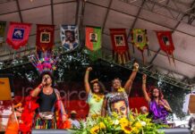 Cordão do Boitatá comemora 30 anos de seu Cortejo de Rua e faz sua estreia no circuito dos megablocos