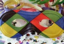 Carnaval: 5 curiosidades sobre a data