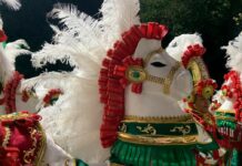 Ala da Mangueira transforma Mestre Sacaca em Rei Momo da Amazônia