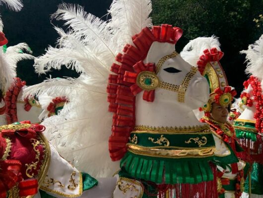 Ala da Mangueira transforma Mestre Sacaca em Rei Momo da Amazônia 1 Detalhes da fantasia