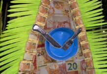 Acadêmicos de Niterói abre os desfiles do Grupo Especial com ala que manda recado direto: “A fome tem pressa”