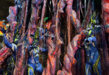 Entre homem e bicho, nasce o enredo: abre-alas da Imperatriz Leopoldinense revela a estética camaleônica de Ney Matogrosso