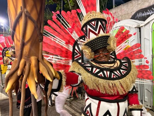 Flavia Fernandes de 61 anos