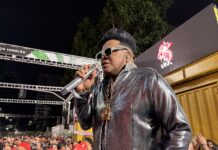 Wander Pires conduz a Viradouro em espetáculo de emoção sob chuva na Sapucaí