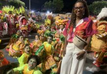 Nostalgia e encantamento tomam conta do desfile do Salgueiro em ala do Sítio do Pica-Pau Amarelo