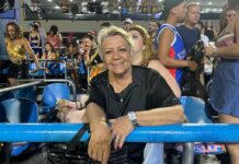 Público reage ao primeiro dia de desfile das escolas da Série Ouro