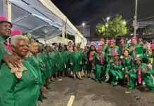 Velha Guarda da Mangueira finaliza desfile reafirmando a tradição da comunidade: ‘Ser Mangueira não é só vir na Avenida’