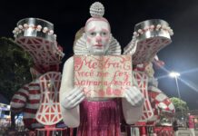 De volta para casa: Salgueiro finaliza desfile com Rosa Magalhães retornando à agremiação