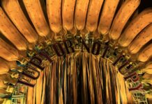 Salgueiro exalta a força da devoração e transforma Rosa Magalhães em símbolo voraz na Sapucaí