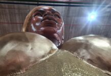 Série Barracões SP: Barroca Zona Sul investe no dourado para exaltar Oxum