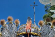 Beija-Flor 2026: alegorias na área de concentração para o Carnaval 2026