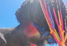 Unidos de Bangu 2026: alegorias na área de concentração