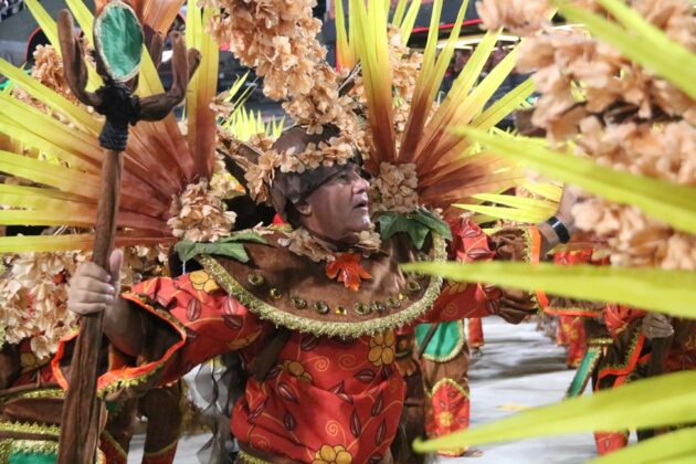 botafogo desfile 2026 13