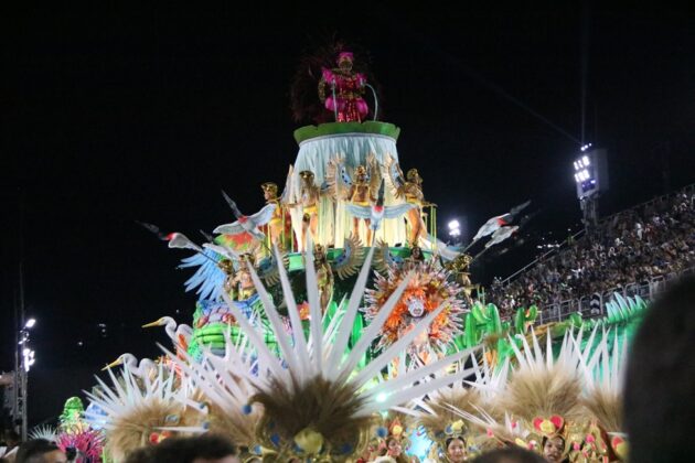 botafogo desfile 2026 14