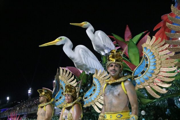 botafogo desfile 2026 16