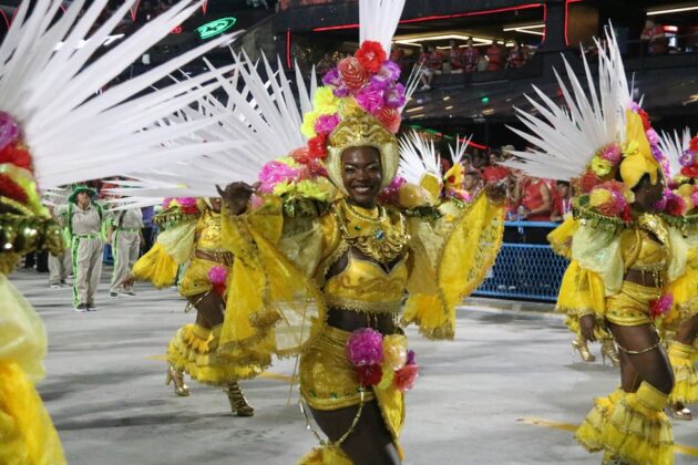 botafogo desfile 2026 23