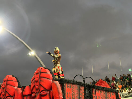 camisaverde desfile26 1