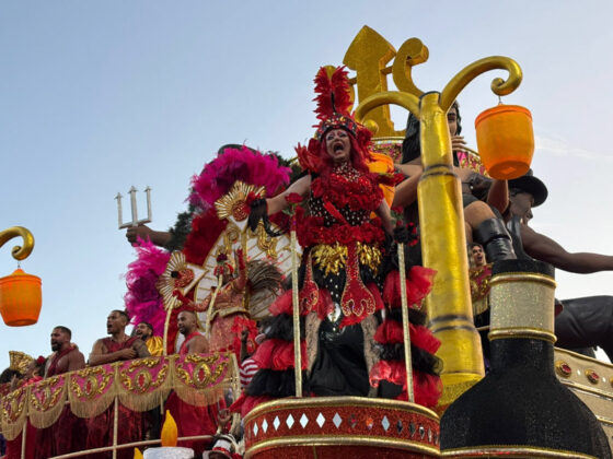 camisaverde desfile26 11