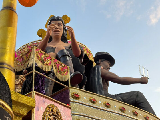 camisaverde desfile26 15