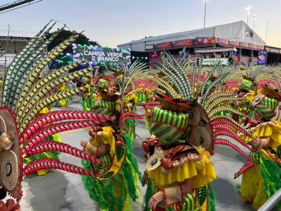 camisaverde desfile26 22