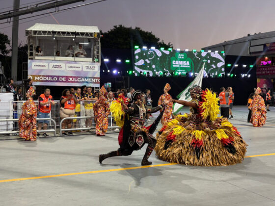camisaverde desfile26 23