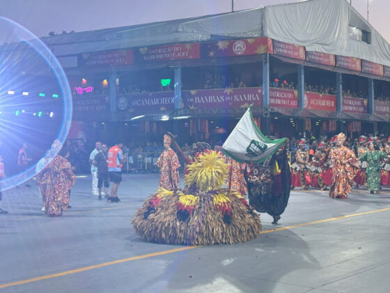 camisaverde desfile26 24