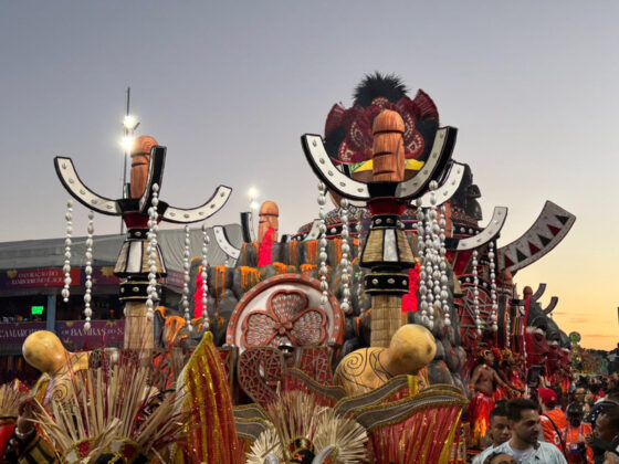 camisaverde desfile26 25