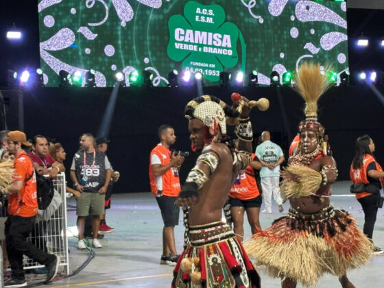 camisaverde desfile26 28