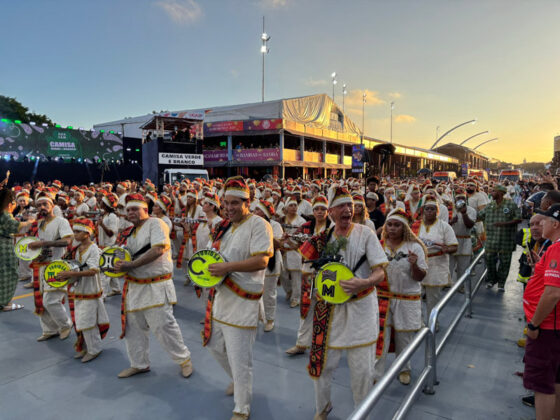 camisaverde desfile26 3