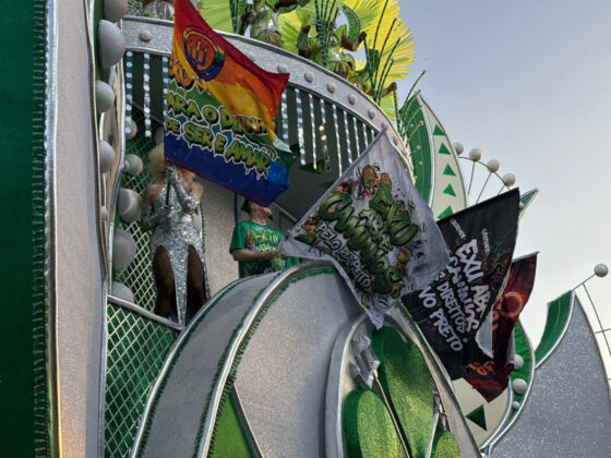 camisaverde desfile26 4