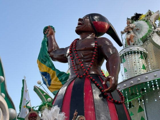 camisaverde desfile26 5