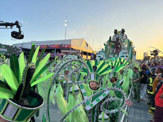 camisaverde desfile26 7