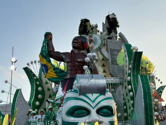 camisaverde desfile26 8