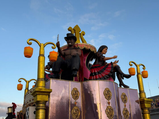 camisaverde desfile26 9