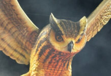 Colorado do Brás 2026: Galeria de fotos do desfile