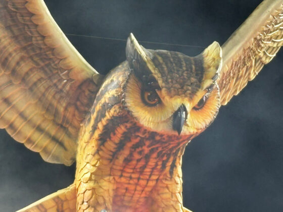 colorado desfile26 12