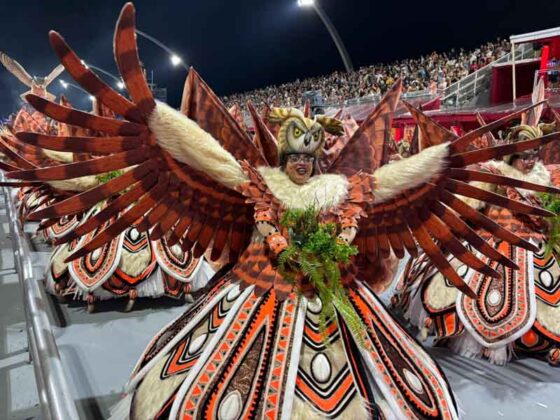 colorado desfile26 6