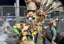 Terceiro setor da Mangueira abordou a importância da medicina alternativa para curar o mal-estar do dia a dia